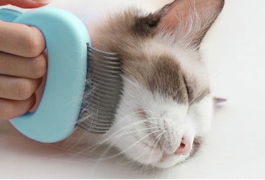 1pc Cat Comb Pet Cat Short & Long Hair Removal Massaging Shell Comb Soft Deshedding Brush Grooming And Shedding Matted Fur Remover Massage Dematting Tool